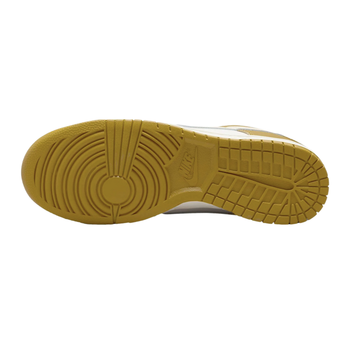 Nike Dunk Low Retro Running Shoes