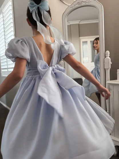 Delia Girls Light Blue Dress - Flower Girl Dress - A Little Lacey