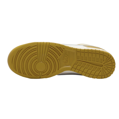 Nike Dunk Low Retro Running Shoes