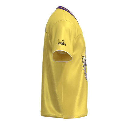 #color_yellow