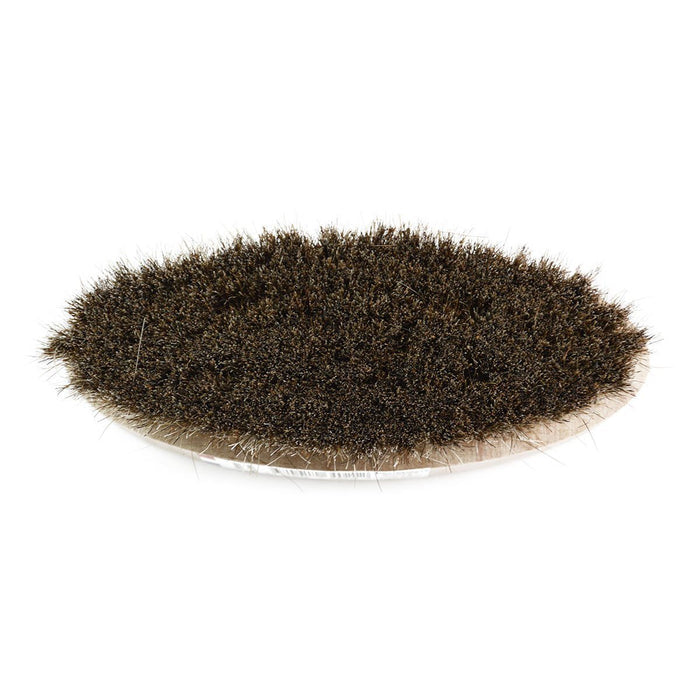 An oval shoe shine brush with horsehair bristles, with natural brown bristles, wooden handle, on a white background.