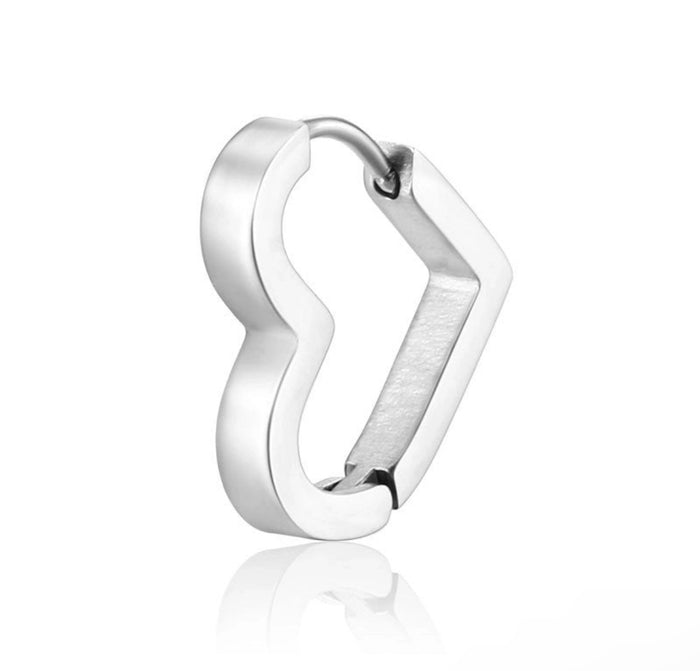 Stainless steel earrings