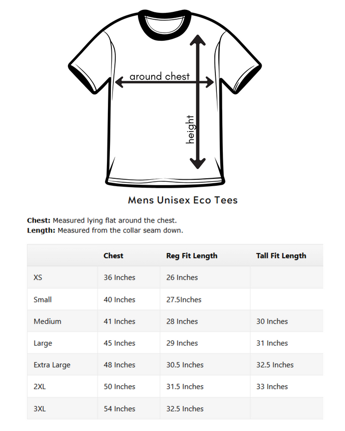 Tod Maffin's Mirror Falls- Unisex Eco Tee - Heather Teal