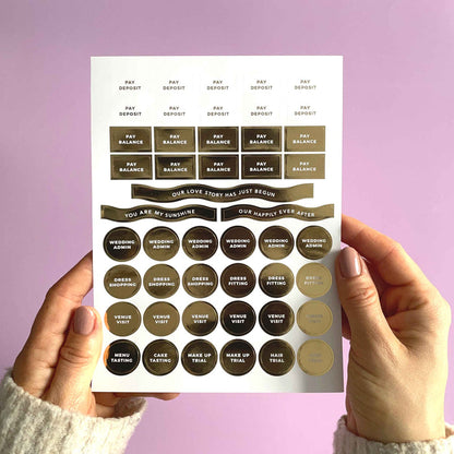Wedding Planner Sticker Pack (3 Sheets) - Giftware - Blush and Gold