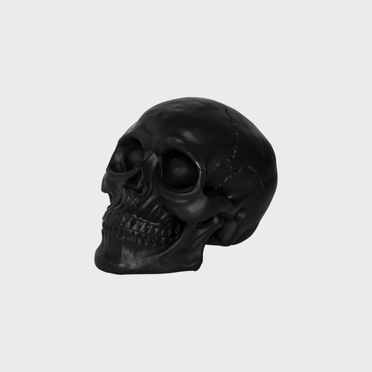 William B Bones - Black Skull