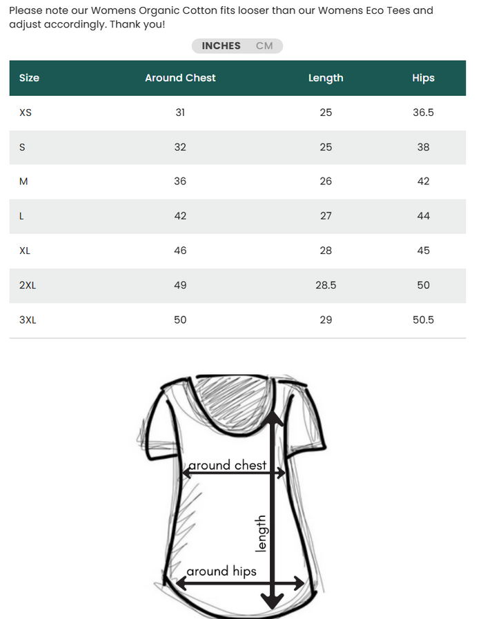 Women's 100% Organic Cotton Tee - Blank Apparel - Sage Grey